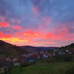 Frien'ds Casa vacanze Natzwiller